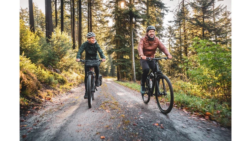 Coboc Iseo 360 Wh E-Bike Diamant salmiak black, gloss