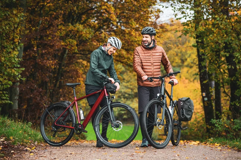 Coboc Iseo 360 Wh E-Bike Diamant salmiak black, gloss