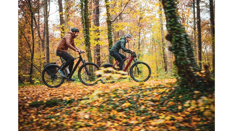 Coboc Iseo 360 Wh E-Bike Diamant salmiak black, gloss
