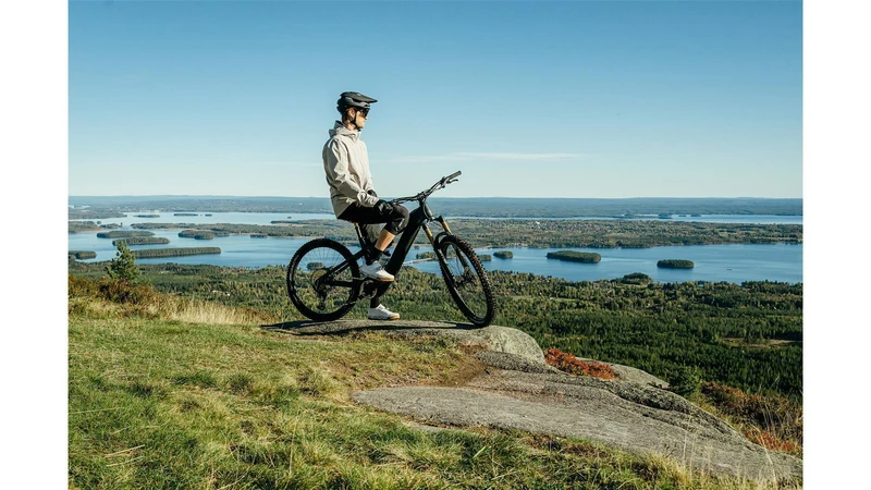 Cube Stereo Hybrid One77 HPC AT 800 Wh E-Bike Fully 29"/27,5" carbon´n´gold