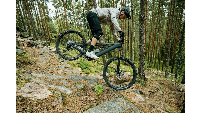 Cube Stereo Hybrid One77 HPC AT 800 Wh E-Bike Fully 29"/27,5" carbon´n´gold