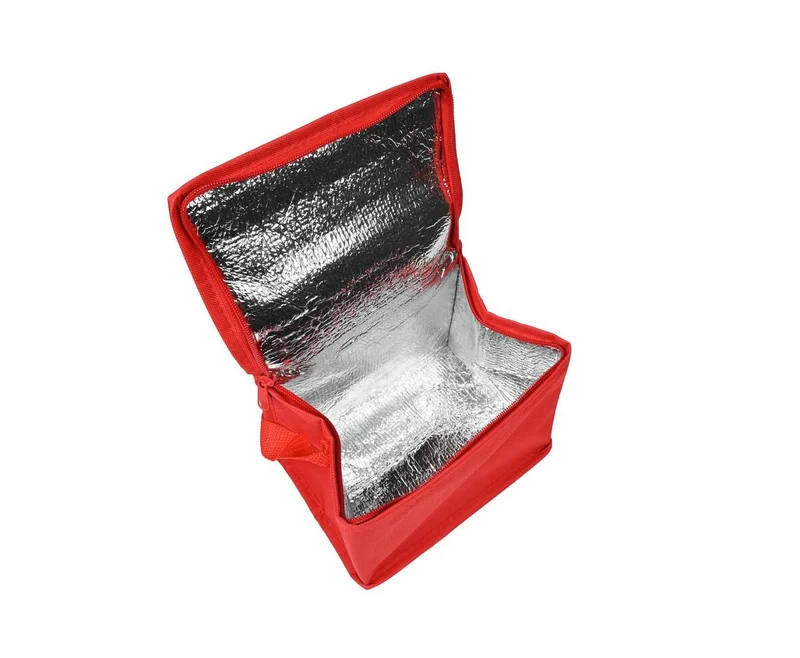 Kühltasche 4L: 20x14x14cm, ideal für Picknicks und Strandausflüge.