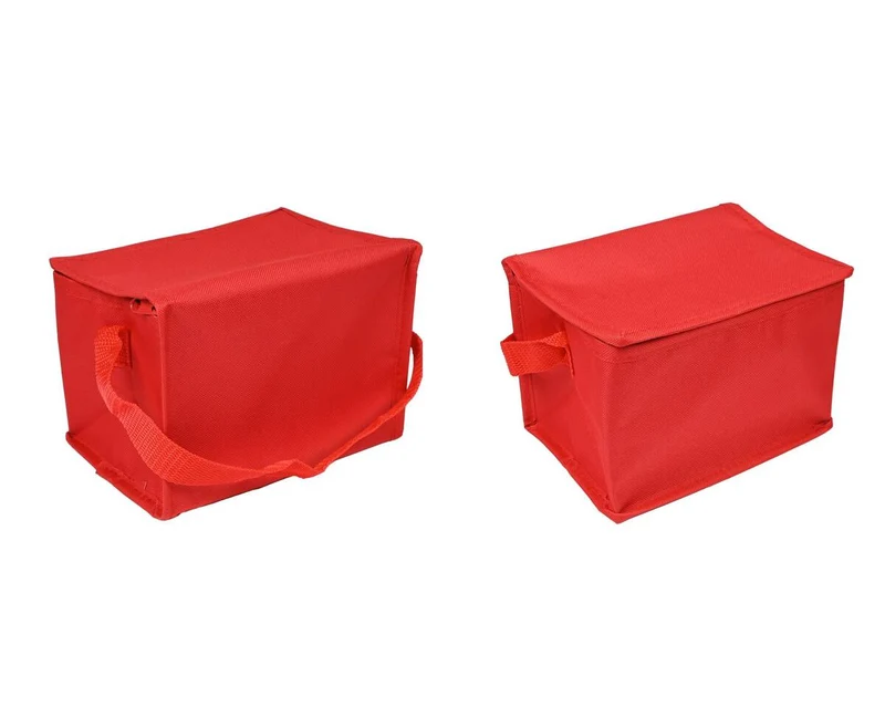 Kühltasche 4L: 20x14x14cm, ideal für Picknicks und Strandausflüge.