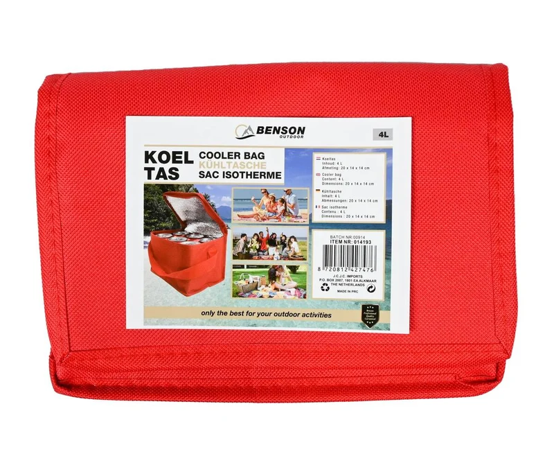 Kühltasche 4L: 20x14x14cm, ideal für Picknicks und Strandausflüge.