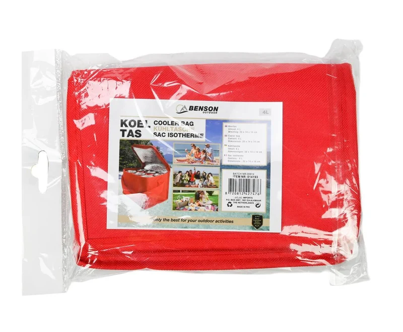 Kühltasche 4L: 20x14x14cm, ideal für Picknicks und Strandausflüge.