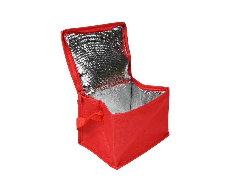 Kühltasche 4L: 20x14x14cm, ideal für Picknicks und Strandausflüge.