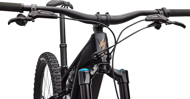 Specialized Turbo Levo R Expert NB 840 Wh E-Bike Fully 29" Gloss Carbon/Burnt Gold Metallic