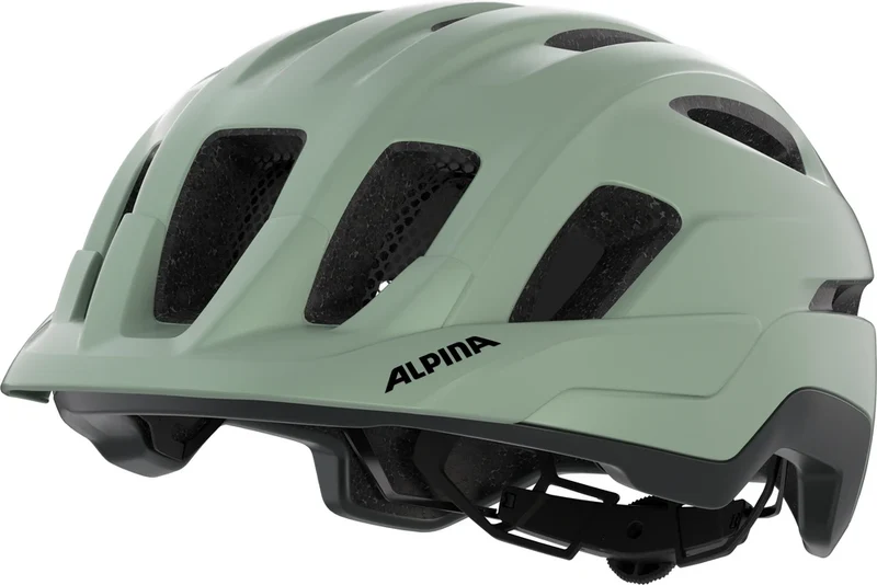 Alpina Paranus Mips