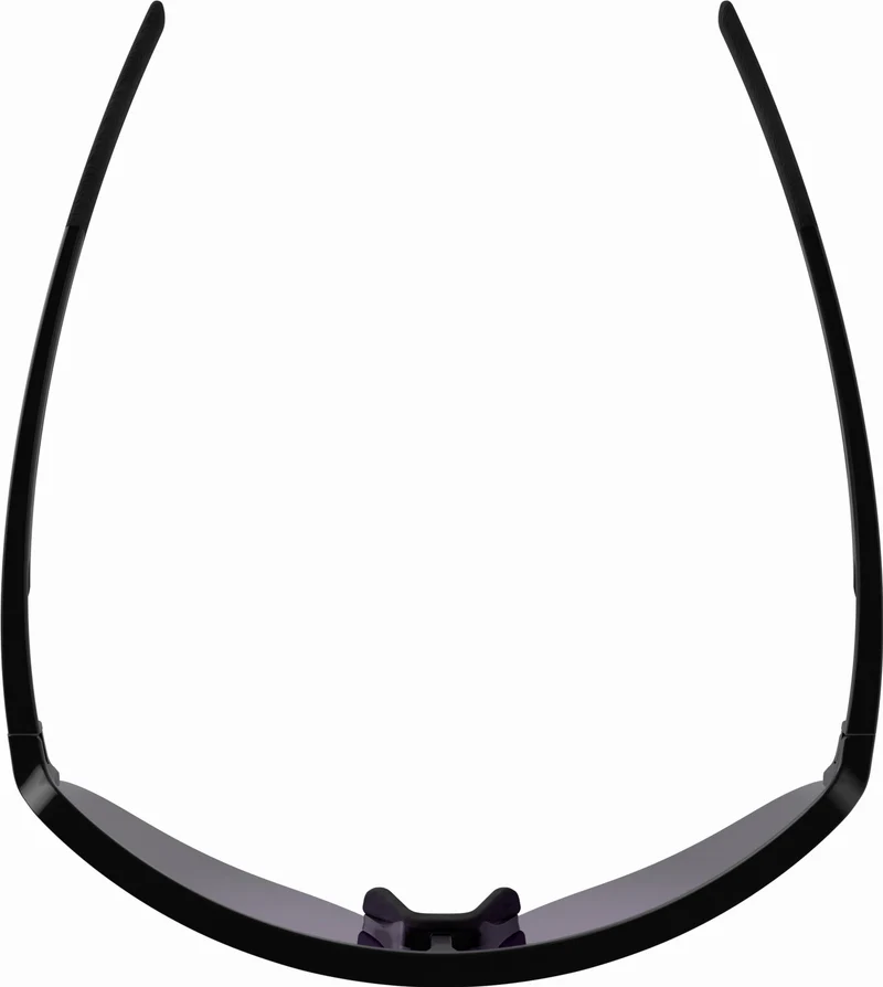 Alpina Ram 2.0 Q-Lite Sportbrille black gloss/mirror purple one size