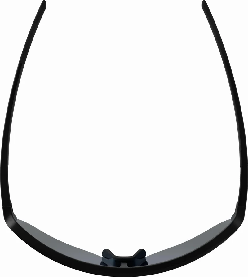 Alpina Ram 2.0 Q-Lite Sportbrille black matt/mirror blue one size