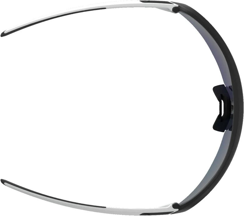 Alpina Turbo Pro Q Sportbrille black-white mat/blue one size