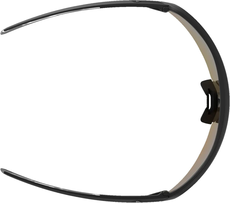 Alpina Turbo Pro Q Sportbrille black/gold mirror one size