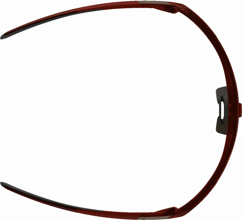 Alpina Turbo Pro S Q-Lite Sportbrille red transparent matt/mirror gold one size