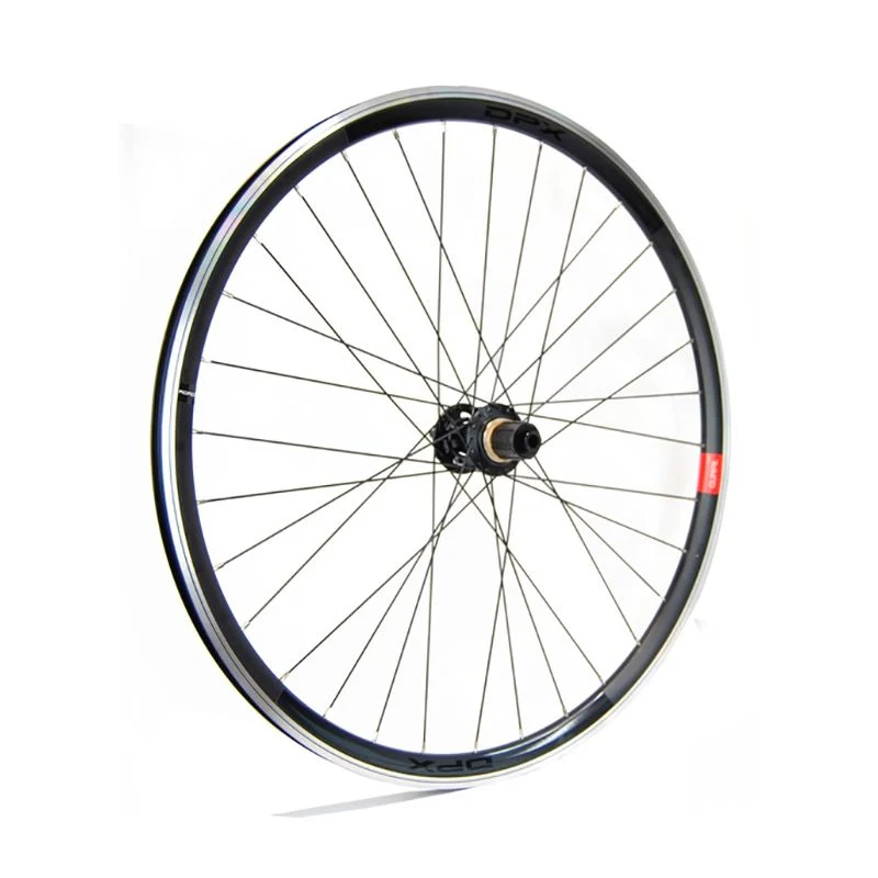 Hinterrad Gurpil Rennrad New DPX Scheibenbremse 6-Loch Steckachse 12x142mm Shimano 11v Schwarz