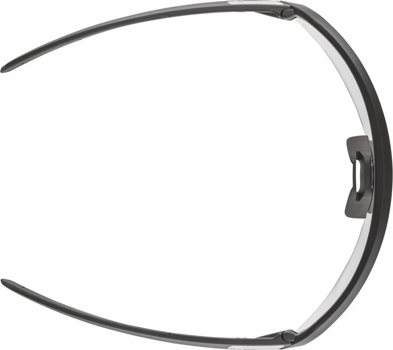 Alpina Turbo Pro S V Sportbrille black matt/vario blue mirror one size