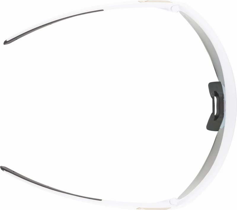 Alpina Turbo Pro S QV Sportbrille white matt/mirror rainbow one size