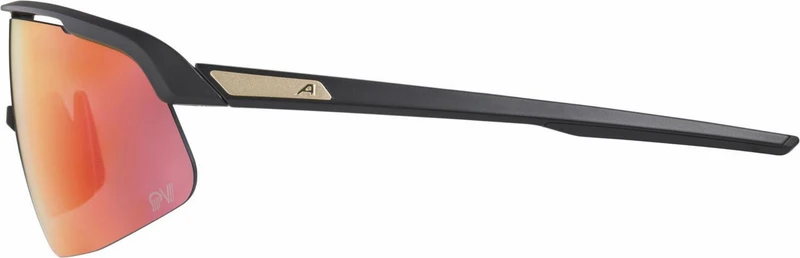 Alpina Turbo Pro S QV Sportbrille black matt/mirror rainbow one size
