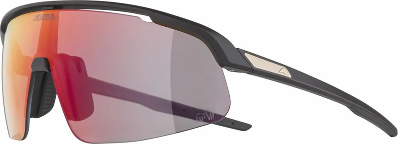 Alpina Turbo Pro S QV Sportbrille black matt/mirror rainbow one size