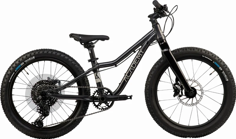 Academy Trail 4 Kinderrad Diamant Knick 20" space