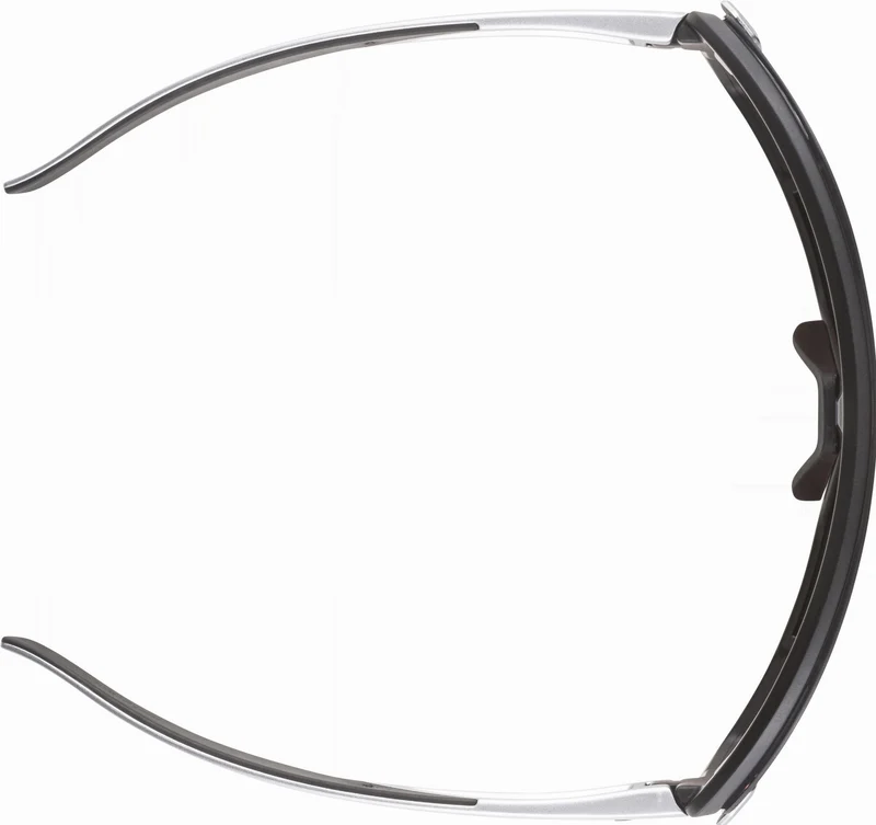 Alpina Bonfire Mag Sportbrille black matt/quattroflex+ black one size