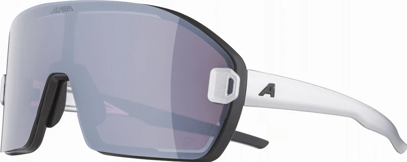 Alpina Bonfire Mag Sportbrille black matt/quattroflex+ black one size