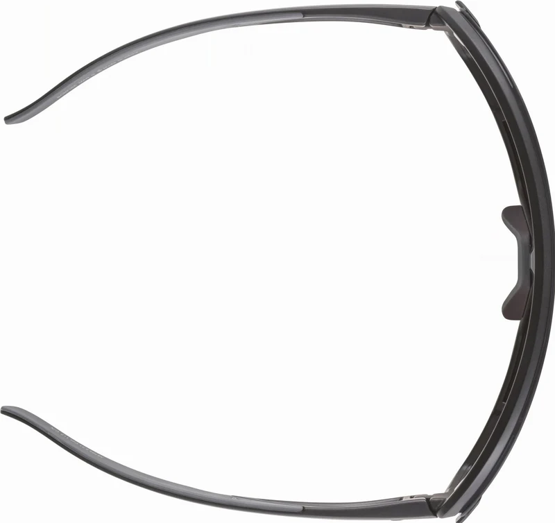 Alpina Bonfire Mag Sportbrille black matt/quattroflex+ black one size