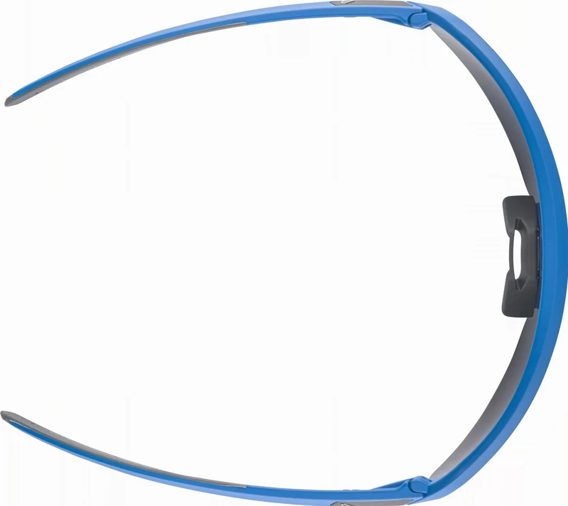 Alpina Turbo Pro Youth Jugendbrille blue matt/mirror red one size