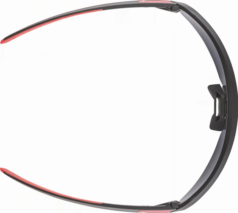 Alpina Turbo Pro Youth Jugendbrille black matt/mirror red one size