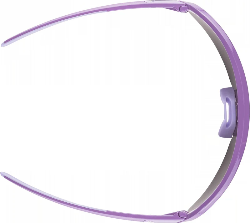 Alpina Turbo Pro Youth Jugendbrille berry gloss/mirror purple one size
