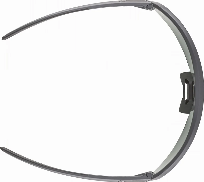 Alpina Turbo Pro S Q-Lite Sportbrille midnight-grey matt/mirror silver one size