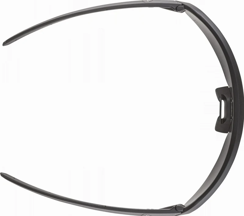 Alpina Turbo Pro S Q-Lite Sportbrille black matt/mirror blue one size