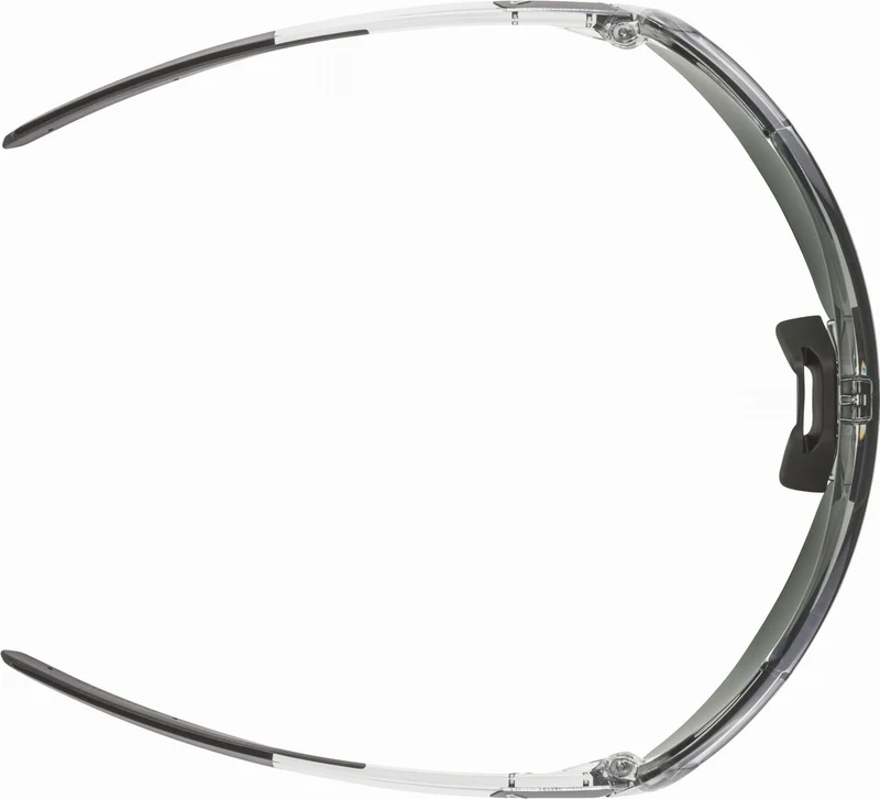 Alpina Turbo Pro Q-Lite Sportbrille grey transparent/mirror silver one size