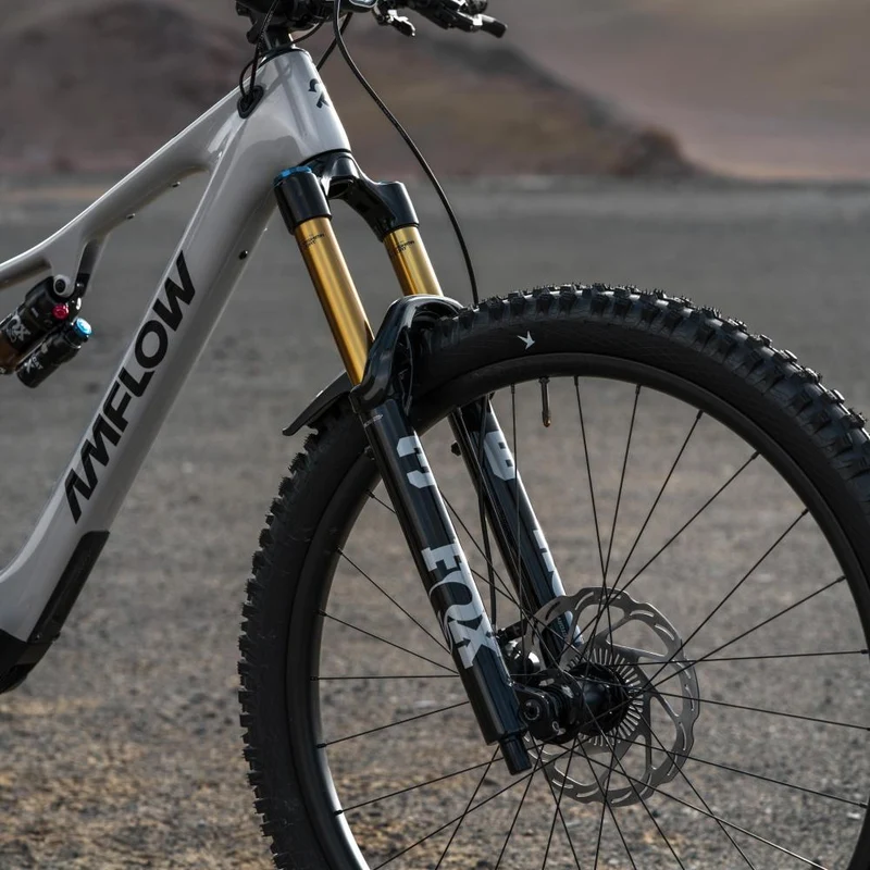 Amflow PX Carbon Pro E-MTB L - 700 Wh, Avinox M2S, Mondstein-Grau