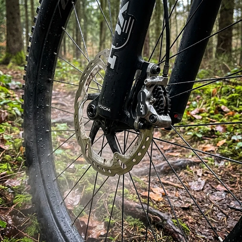 Voxom Scheibenbremsbeläge Bsc24 E-Bike Shimano XT XTR BR-M 985 organisch 2 Stück