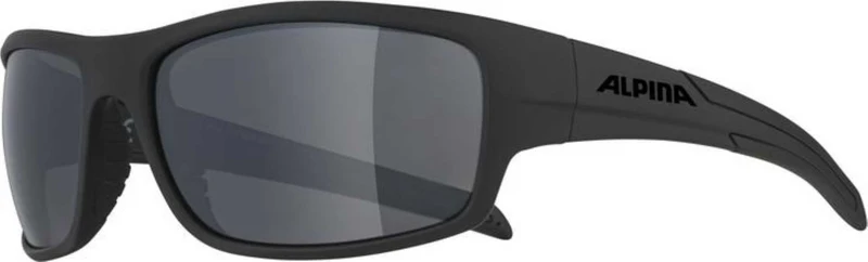 Alpina Testido Sportbrille all black matt /black