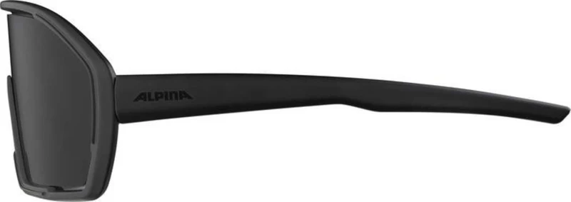 Alpina Bonfire Sportbrille all black matt/smoke