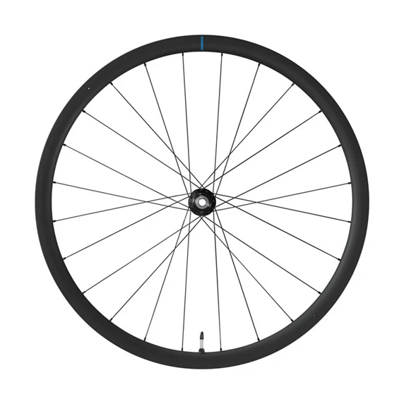 Vorderrad Shimano WH-RX880-TL-F12-700C Scheibenbremse Center Lock Schwarz