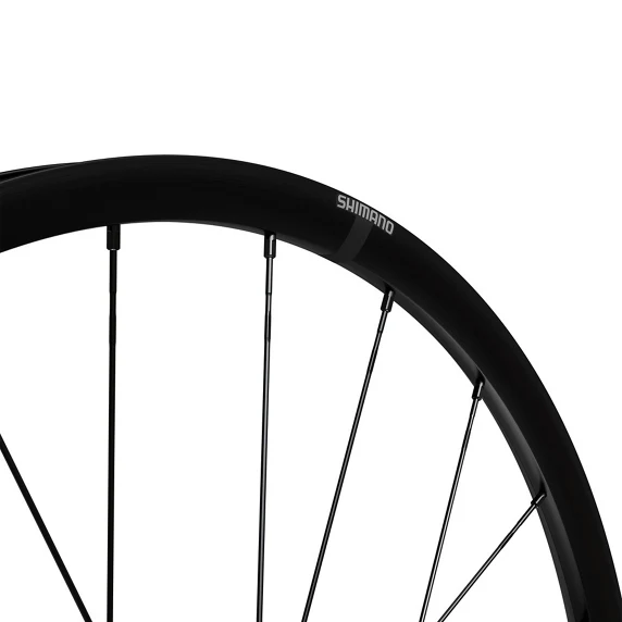 Vorderrad Shimano WH-RX180-TL-F12-700C Scheibenbremse Center Lock Schwarz