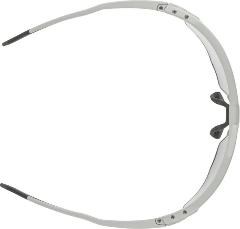 Alpina Twist Six HR V Sportbrille smoke-grey matt/varioflex+ black one size