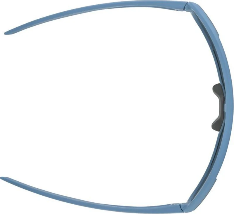 Alpina Bonfire Q-Lite Sportbrille smoke-blue matt/mirror gold one size
