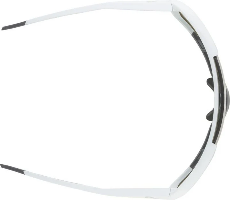 Alpina Rocket Q-Lite Sportbrille smoke-grey matt/mirror silver one size