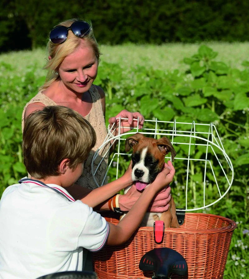 KLICKfix Doggy Basket Plus Gepäckträgerkorb für Racktime