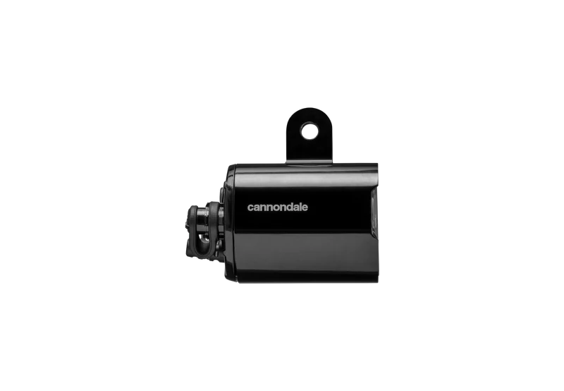 Cannondale Licht Foresite E350 STVZO Schwarz