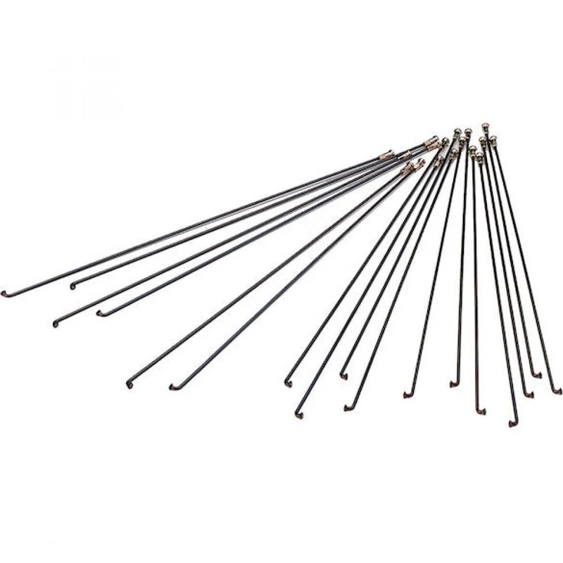 DT Swiss Speiche Champion 2.0 VE500 282 mm schwarz - robuste Standardspeiche für Straße & MTB