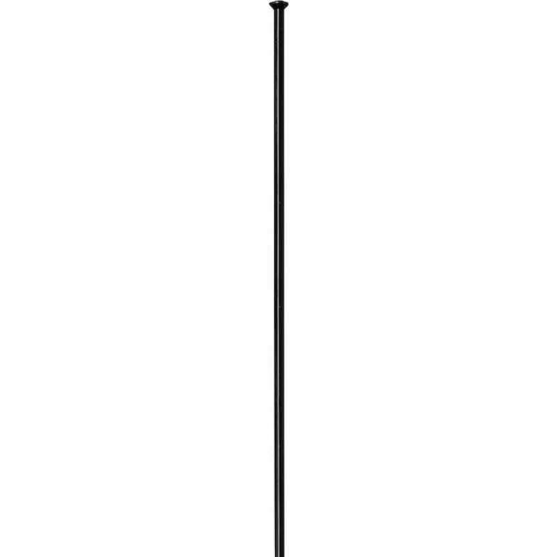DT Swiss Speiche Competition 2.0 / 1.8 Straightpull 262 mm schwarz - robuste Laufrad-Performance