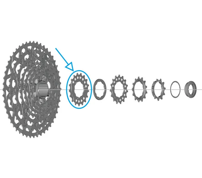 Shimano Ritzel für CS-LG700