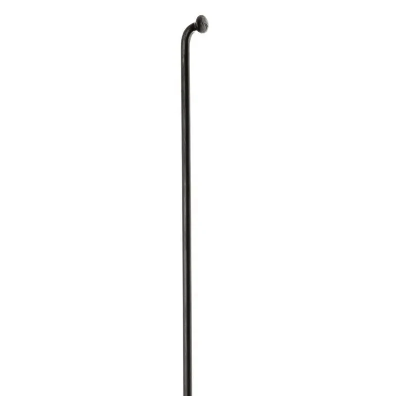Speichen DT Champion 295x2mm Ohne Nippel Schwarz 1 Stück