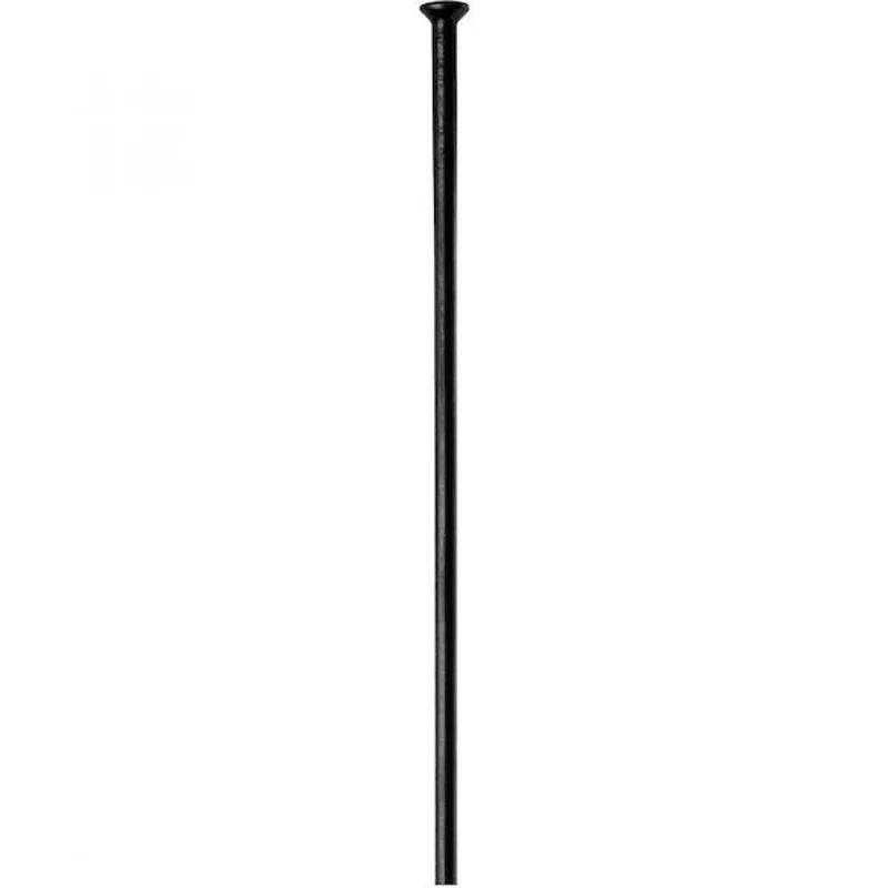 DT Swiss Speiche Champion 2.0 Straightpull VE100 262 mm schwarz - robuste Allround-Speiche