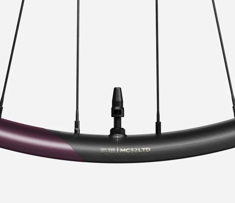 Oquo Mtb Hinterrad MC32LTD XD 29 Metallic Mulberry