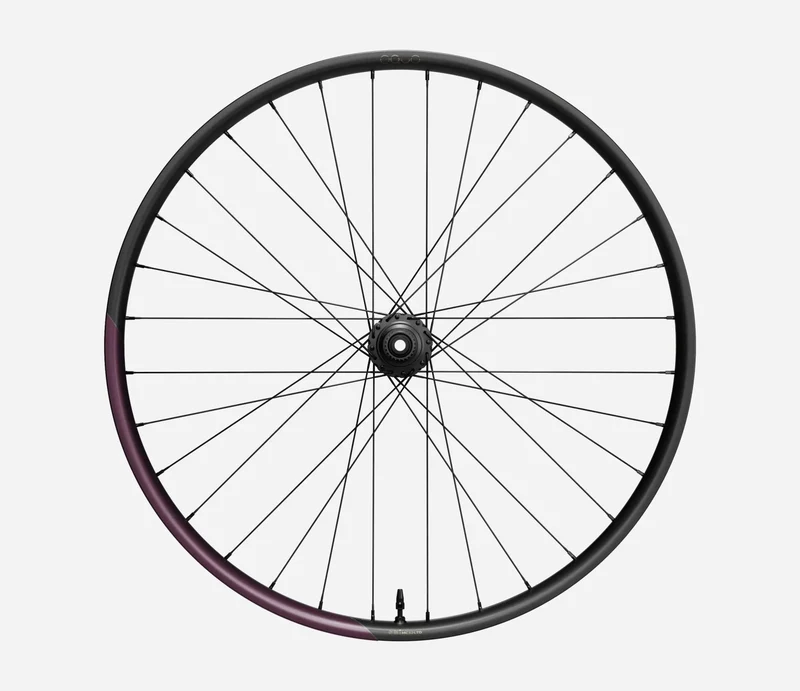Oquo Mtb Hinterrad MC32LTD XD 29 Metallic Mulberry
